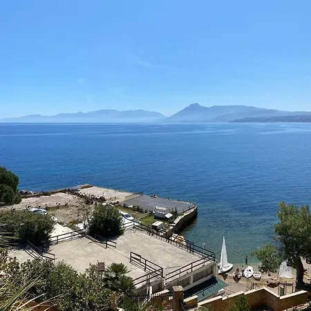 Zagara